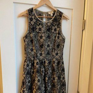 "Loft" Dress - Size 6 - Brown/Navy